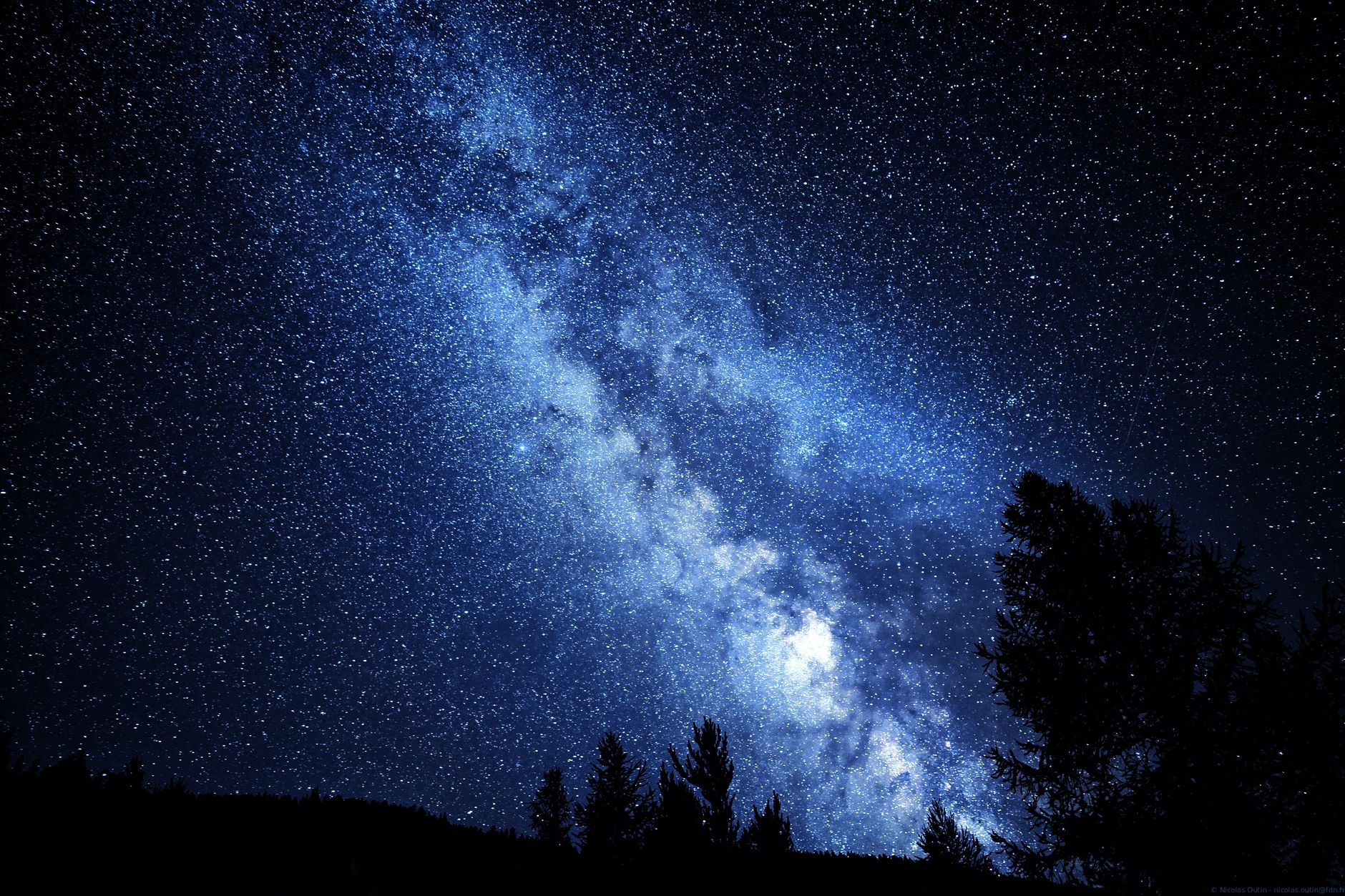 silhouette of trees under starry night sky